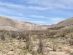 Um oásis no deserto do Atacama - bravo-001